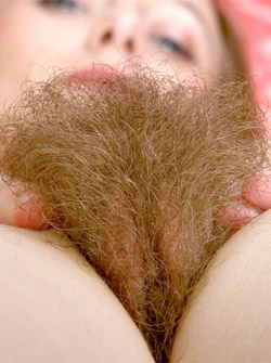 Horny Hairy Galleries