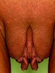 In the crack