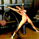 For true lovers of bdsm art